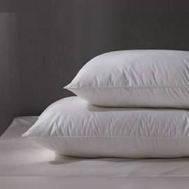 Reedy Bedding 頂級五星級天然羽絨對枕，中高枕+標準枕