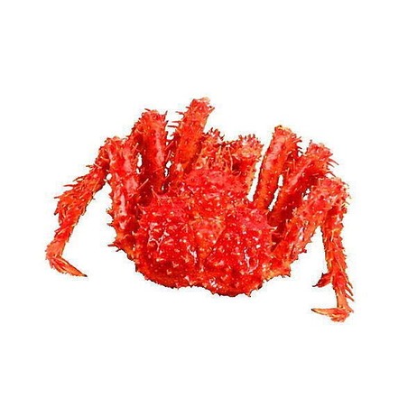 【年菜系列】帝王蟹約2.5kg以上/隻