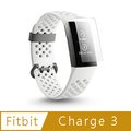 T.G Fitbit Charge 3 超薄3D防爆膜螢幕保護貼-霧面(2入)