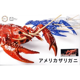 FUJIMI 美國螯蝦 透明紅色 富士美 自由研究24EX4 生物編 組裝模型