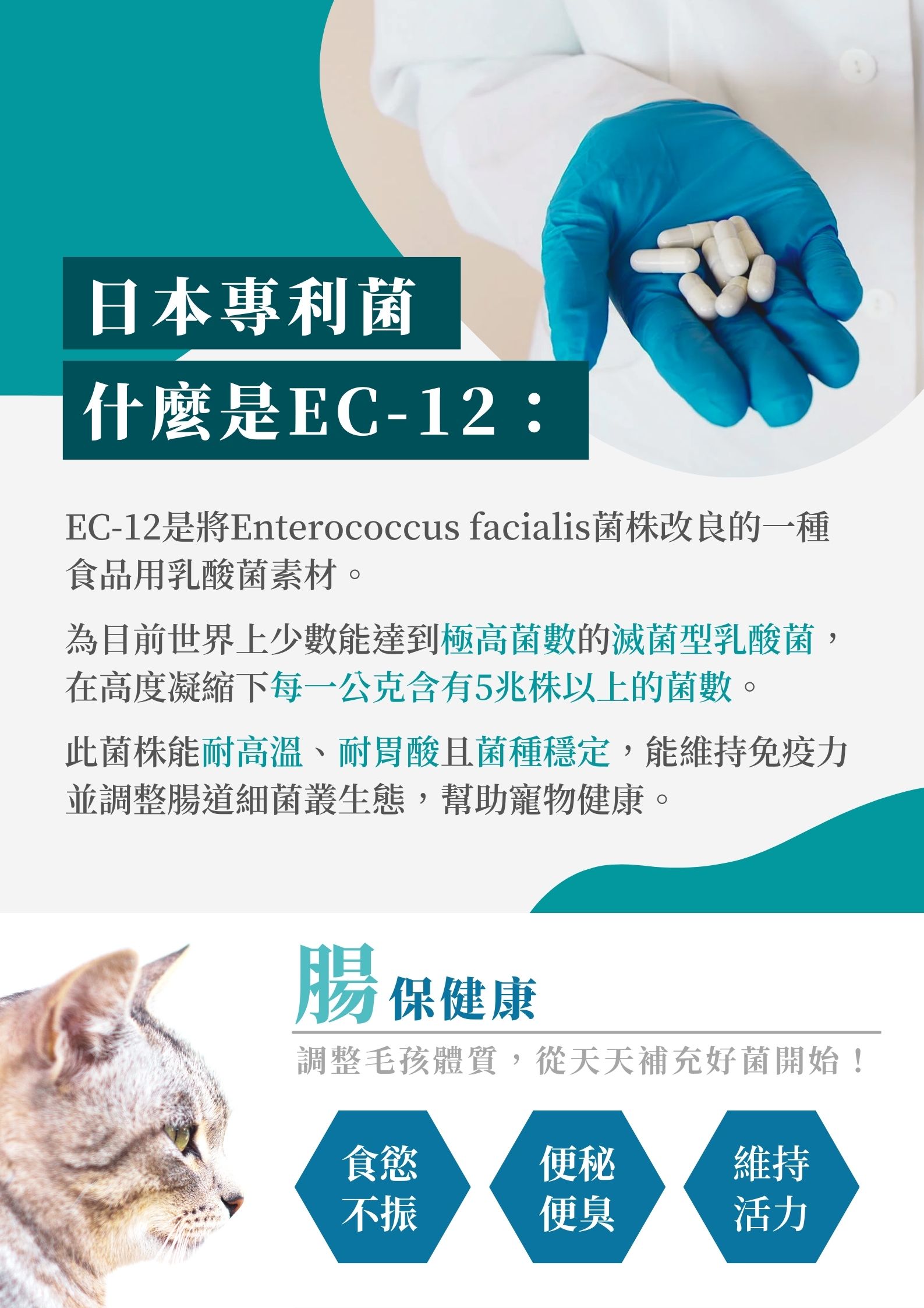 【E-Rei益瑞】EC-12綜合乳酸菌60顆 (犬貓保健食品/腸胃保健/日本專利菌)
