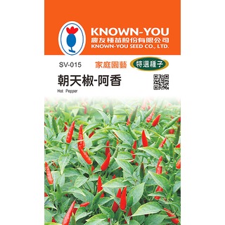 《農友種苗》特選蔬果種子 SV-015朝天椒-阿香
