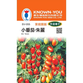 《農友種苗》特選蔬果種子 SV-055小番茄-朱麗