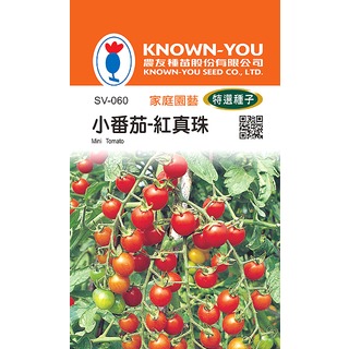 《農友種苗》特選蔬果種子 SV-060小番茄-紅真珠