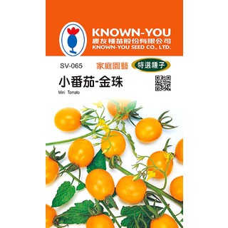 《農友種苗》特選蔬果種子 SV-065小番茄-金珠