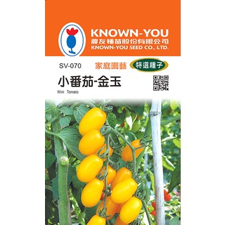 《農友種苗》特選蔬果種子 SV-070小番茄-金玉