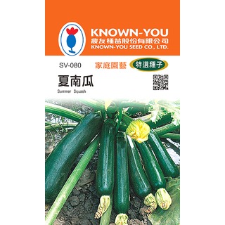 《農友種苗》特選蔬果種子 SV-080夏南瓜-輝青
