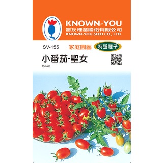 《農友種苗》特選蔬果種子 SV-155小番茄(聖女)