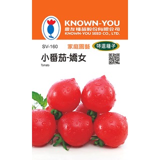 《農友種苗》特選蔬果種子 SV-160小番茄(嬌女)