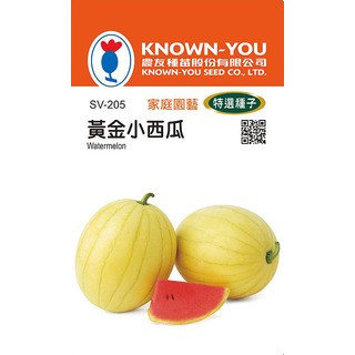 《農友種苗》特選蔬果種子 SV-205黃金小西瓜