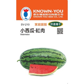 《農友種苗》特選蔬果種子 SV-210小西瓜 (紅肉)
