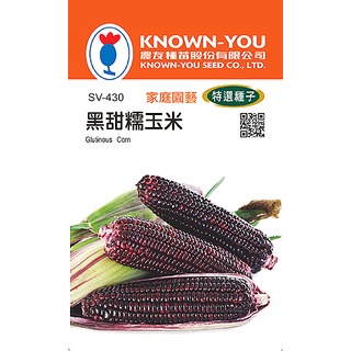 《農友種苗》特選蔬果種子 SV-430黑甜糯玉米