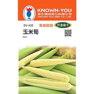 《農友種苗》特選蔬果種子 SV-435玉米筍