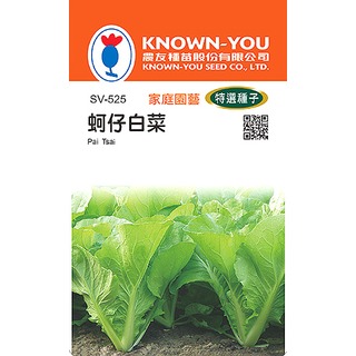《農友種苗》特選蔬果種子 SV-525蚵仔白菜
