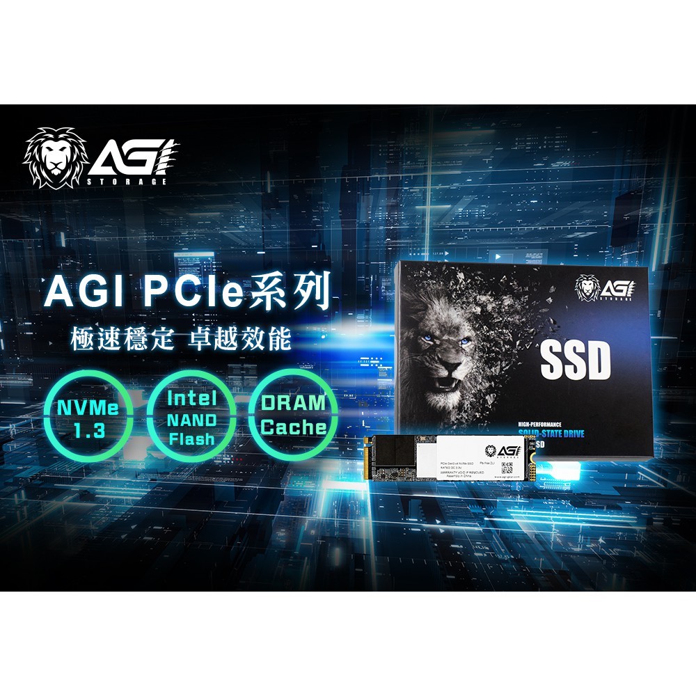 亞奇雷 AGI AI218 2TB M.2 2280 PCIe 3.0 Nvme 固態硬碟 SSD