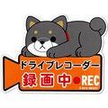 日本MEIHO 可愛柴犬圖案 行車紀錄器錄影中 車身磁性磁鐵銘牌 貼牌 ME124