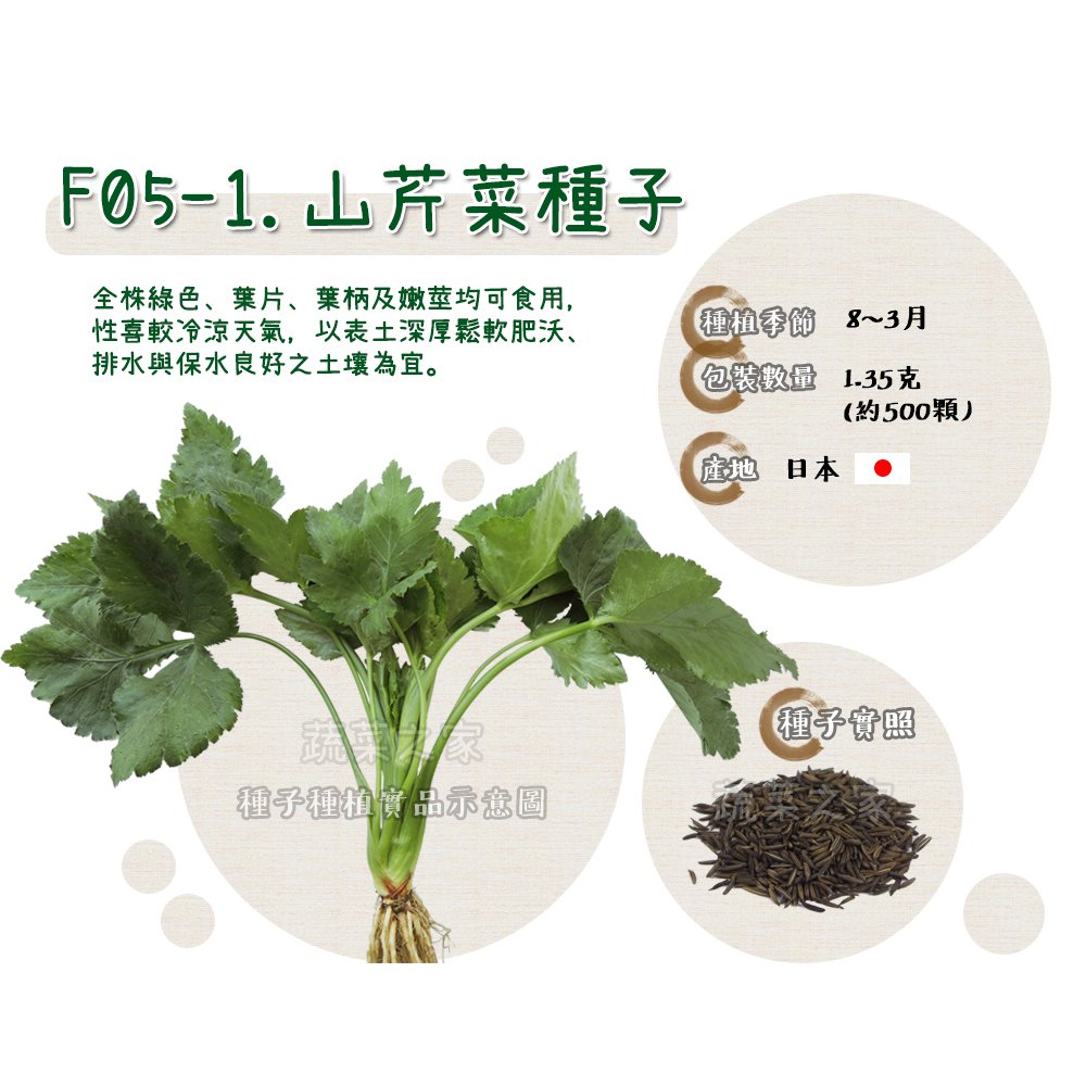 【蔬菜之家】F05-1.山芹菜種子1.35克(約500顆)種子 園藝 園藝用品 園藝資材 園藝盆栽 園藝裝飾