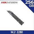 海康 HIKVISION E100NI 256GB M.2 SATA 2280 SSD 固態硬碟