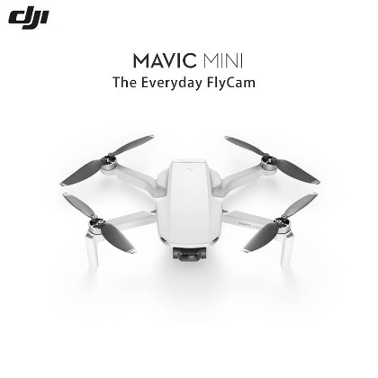 【EC數位】DJI 大疆 Mavic Mini 空拍機 輕型無人機 四種航拍模板 續航力強