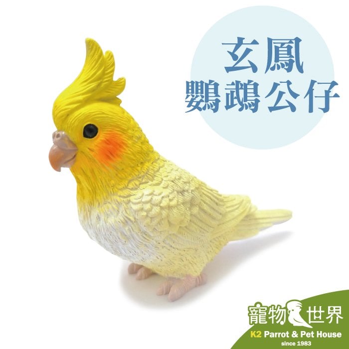 缺《寵物鳥世界》日本鸚鵡公仔-玄鳳(無底座款)|擺飾 鳥公仔 鸚鵡週邊 仿真擺飾 BY127