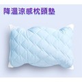 外銷日本涼感枕頭套 降涼 降溫 冰絲 枕頭保潔墊 枕套 枕巾 枕頭墊 枕頭套 冰涼墊 寢具 消暑