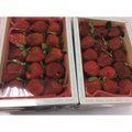 大湖草莓五盒出貨特惠$1700含運