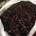 美國黑山紅櫻桃5公斤