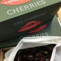大嘴巴智利紅櫻桃頂級版👄過年商品《當季商品誤下單》