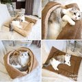 【WAWAWA】日韓風保暖加絨加厚可折疊多型態貓狗睡窩床墊