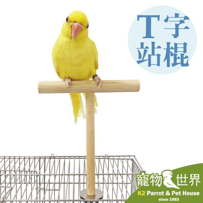 缺《寵物鳥世界》台灣製 T字站棍│小型鳥 中小型鳥 T型站台 鸚鵡 鳥棲木 站架 站台 原木 木製站棍 YU111