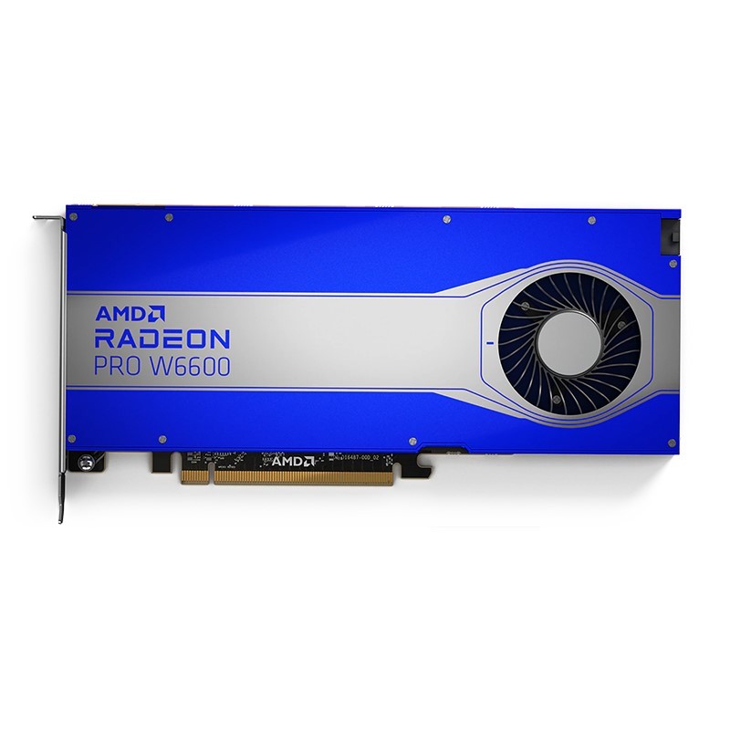 AMD RadeonPro W6600 工作站顯卡