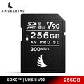 ANGELBIRD AV PRO SD MK2 SDXC UHS-II V90 256GB 記憶卡 公司貨