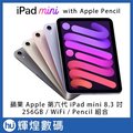 蘋果 apple 第六代 ipad mini 6 8 3 吋 256 gb wifi 同捆 pencil 組合