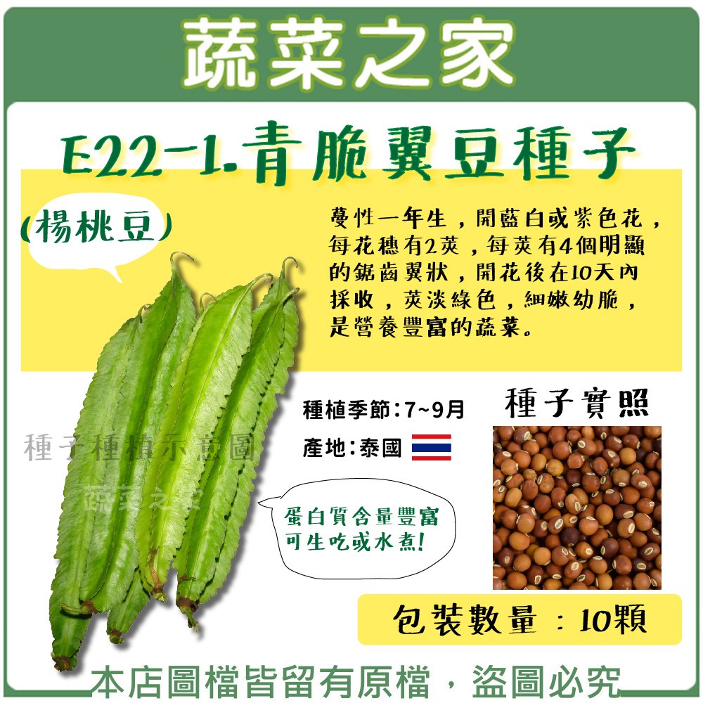 【蔬菜之家】E22-1.青脆翼豆種子10顆