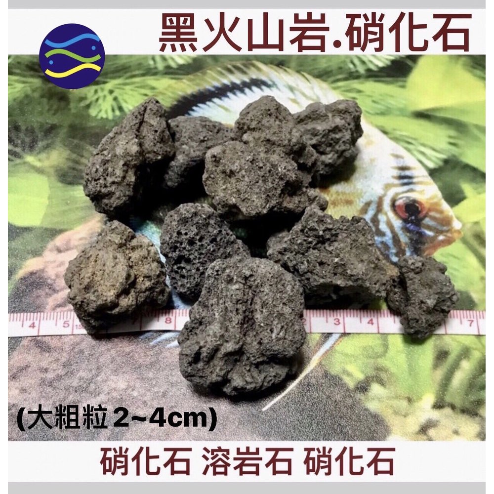 微笑的魚水族 底砂 濾材 黑火山岩 硝化石 大粗粒2 4cm 1kg 溶岩石 硝化石 濾材 蘇蝦 蘇螺 Pchome 商店街