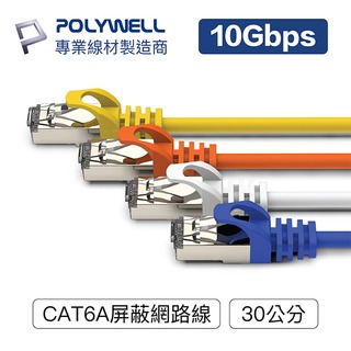(現貨) 寶利威爾 CAT6A 高速網路線 30公分 10Gbps 網路線 RJ45 福祿克認證 POLYWELL