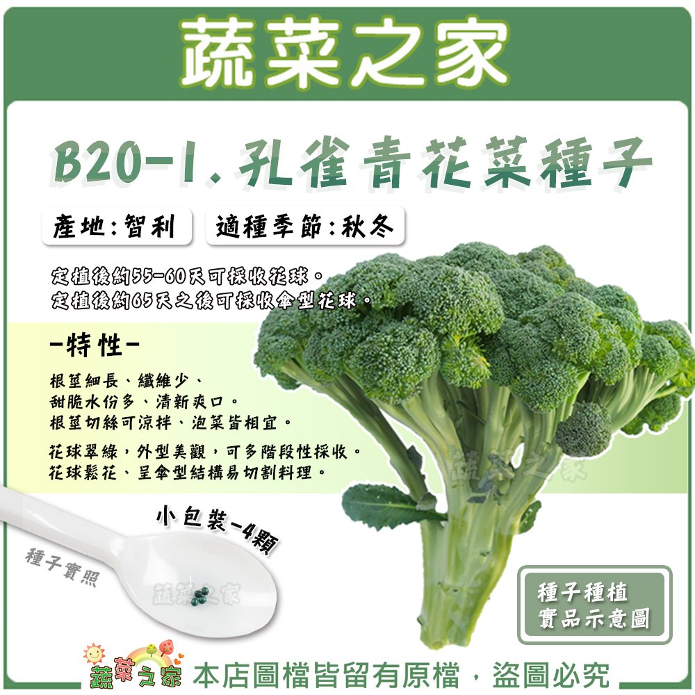 【蔬菜之家】B20-1.孔雀青花菜種子 4顆 種子 園藝 園藝用品 園藝資材 園藝盆栽 園藝裝飾