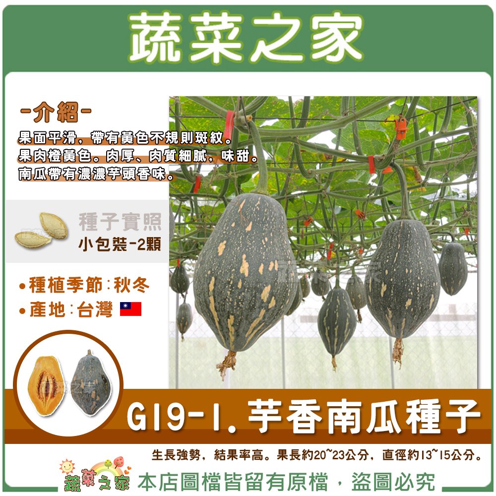 【蔬菜之家】G19-1.芋香南瓜種子 2顆 種子 園藝 園藝用品 園藝資材 園藝盆栽 園藝裝飾