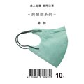 【盛籐】成人3D立體醫療口罩 莫蘭迪-碧綠 10片/包
