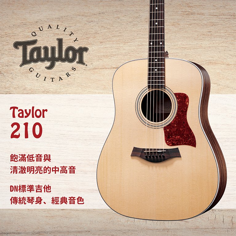 【非凡樂器】 taylor 210 美國知名品牌木吉他 原廠公司貨
