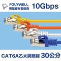 POLYWELL CAT6A 高速乙太網路線 S/FTP 10Gbps 0.3M