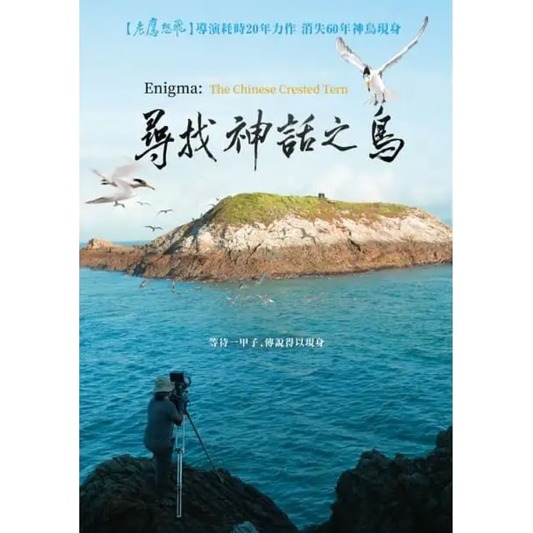 合友唱片 尋找神話之鳥 Enigma:The Chinese Crested Tern DVD