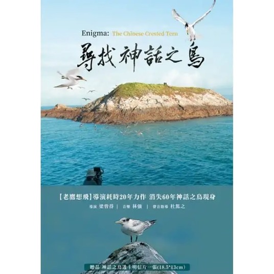 合友唱片 尋找神話之鳥 藍光 Enigma:The Chinese Crested Tern BD