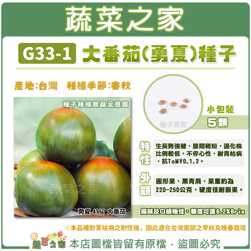【蔬菜之家】G33-1大番茄(勇夏)種子5顆 種子 園藝 園藝用品 園藝資材 園藝盆栽 園藝裝飾