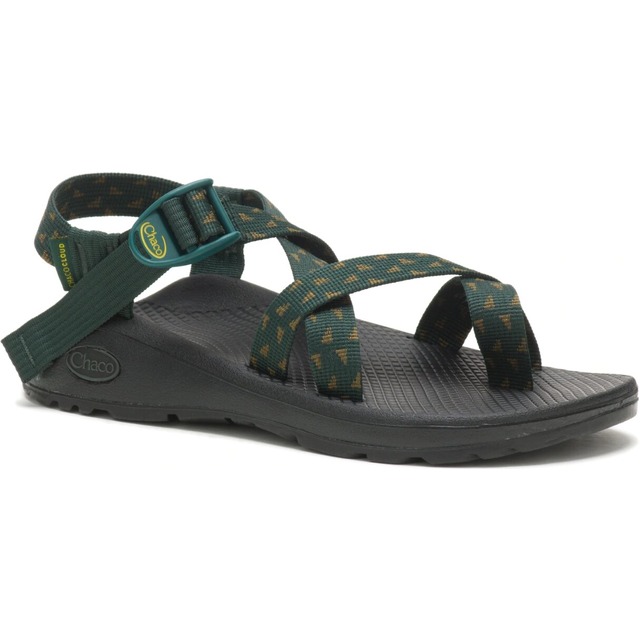 Chaco Women s Z Cloud 2 streamer scarab CH ZLW02HI15