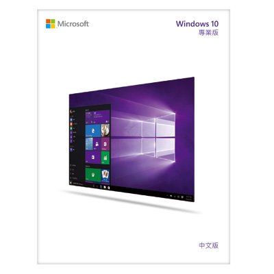 Microsoft Windows 10 中文專業隨機版-64位元