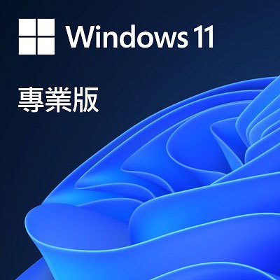 Microsoft Windows 11 專業版 ESD 數位下載版