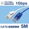 POLYWELL CAT6 極細高速網路線 5M