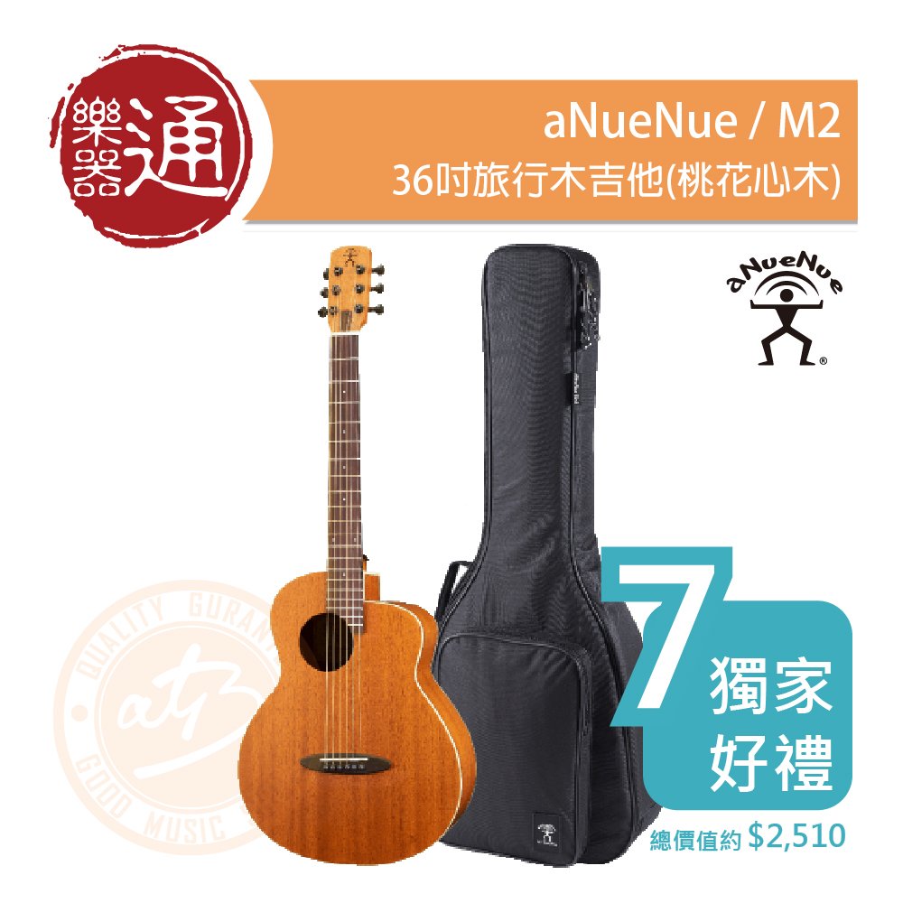 希少 黒入荷！ aNueNue Bird Guitar aNN-M2（新品/送料無料）【楽器