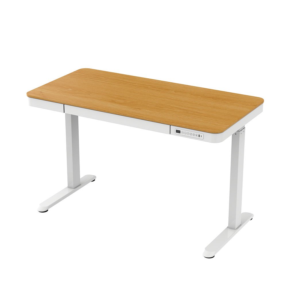 FLEXISPOT E9W 電動升降家居桌-白色桌腳木紋桌板（DIY組裝） 豪優人體工學椅專賣店